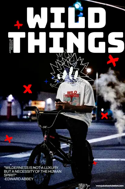 Wild Things / Night Ride